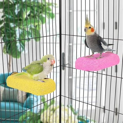 Wontee Bird Chewing Toys Grinding Beak Bird Perch Stand - Image 4