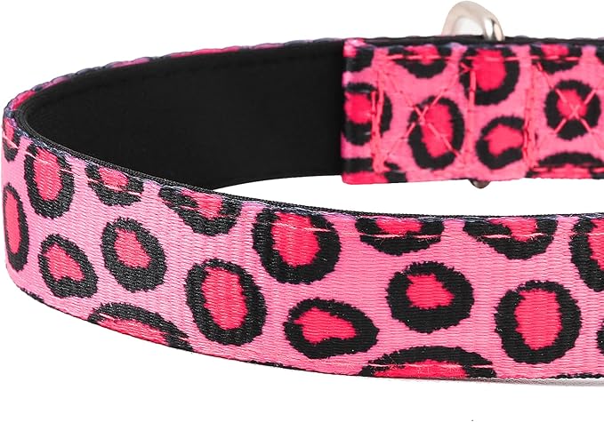 Reflective Dog Collar, Adjustable Soft Neoprene Padded Nylon Pet Collars - Image 5