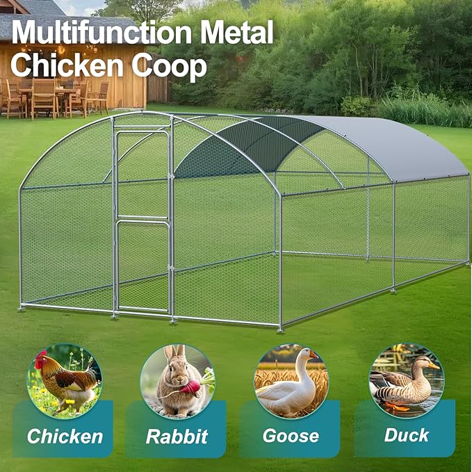 Large Chicken Coop, Chicken Coops - Image 2