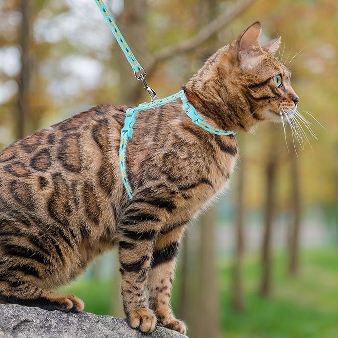 PUPTECK Adjustable Cat Harness and Leash Set Escape Proof Kitten Strap Collar - Image 7
