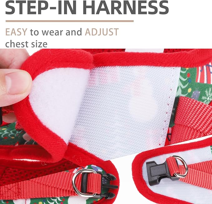 PUPTECK Adjustable Dog Harness Collar and Leash Set Step in No Pull Pet Harness - Image 3