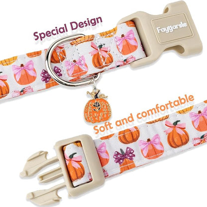 Faygarsle Fall Pumpkin Pattern Dog Collar - Image 4