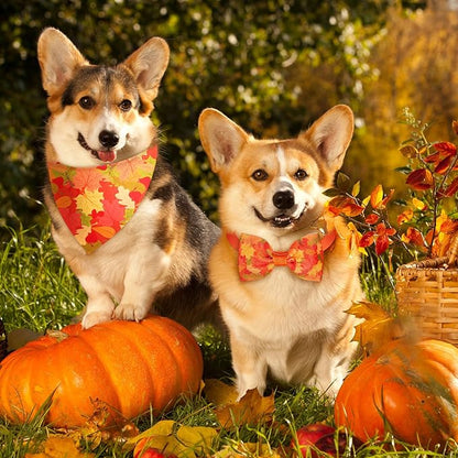 Sanwuta 50 Pcs Thanksgiving Fall Dog Bandanas Bulk and Collar Bow Ties Set 25 - Image 2