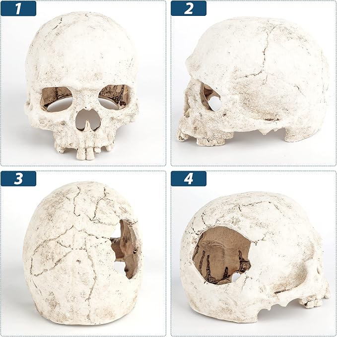 Uniclife Aquarium Skull Reptile House Decor Resin Head Skeleton Ornament - Image 4