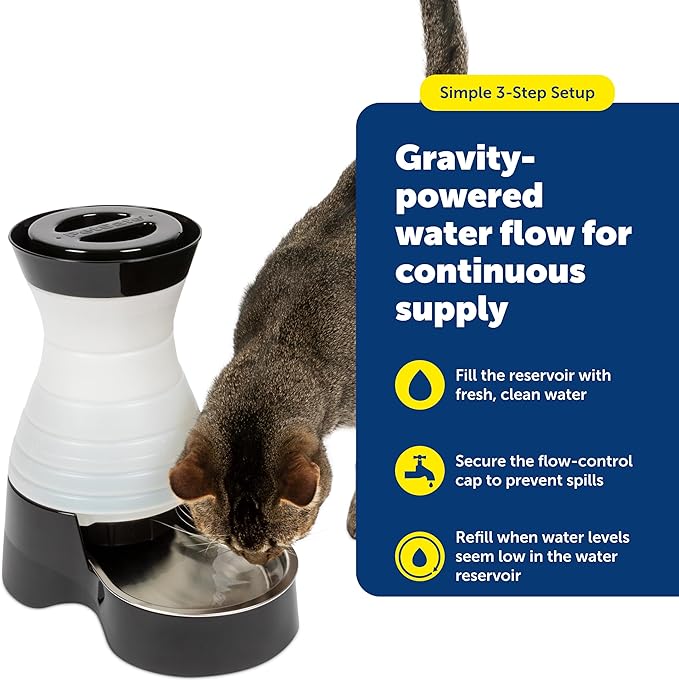 PetSafe Healthy Pet Water Station - Image 5