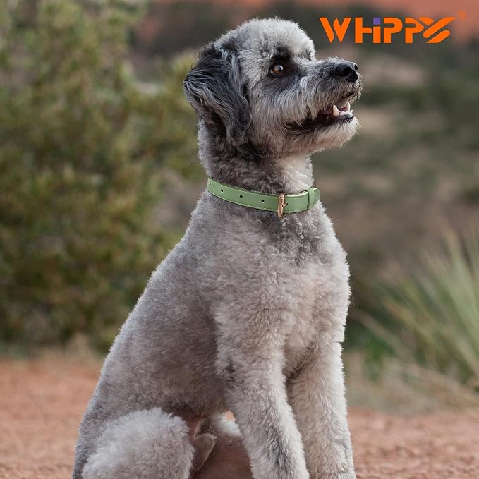 WHIPPY Leather Dog Collar for Small Medium Large Dog Adjustable Soft Breathable - Image 2