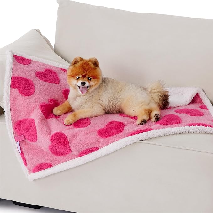 LE SURE Waterproof Puppy Blanket by Lesure