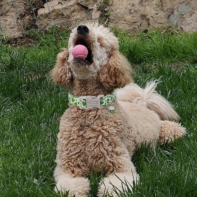 Unique style paws St. Patrick's Day Dog Collar Plastic Buckle Collar - Image 4