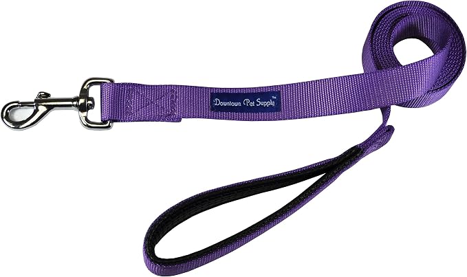 Downtown Pet Supply 6ft Dog Leash by DowntownPetSupply