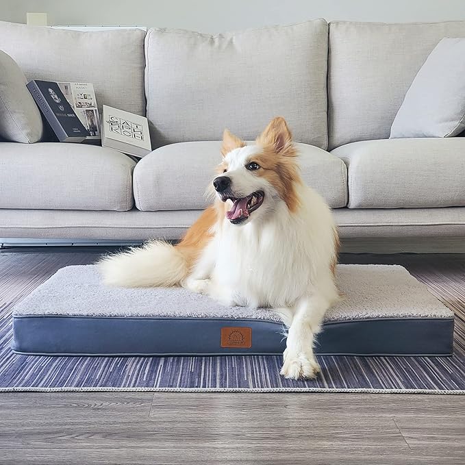 Sunheir Orthopedic Dog Bed for Large Dogs - Image 5