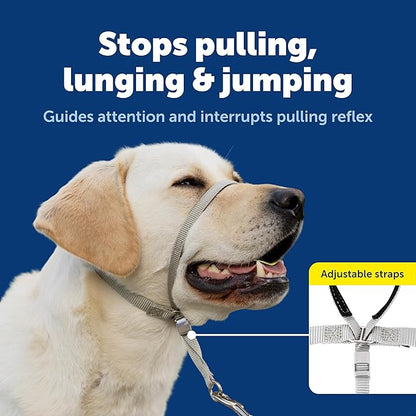 PetSafe Gentle Leader No-Pull Dog Headcollar - Image 3
