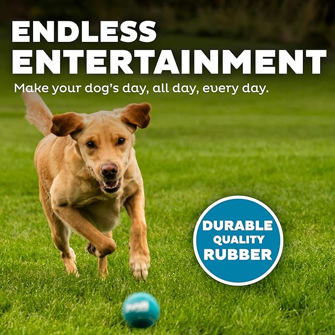 Outward Hound Squeaker Ballz – Squeaky Tennis Balls - Image 4