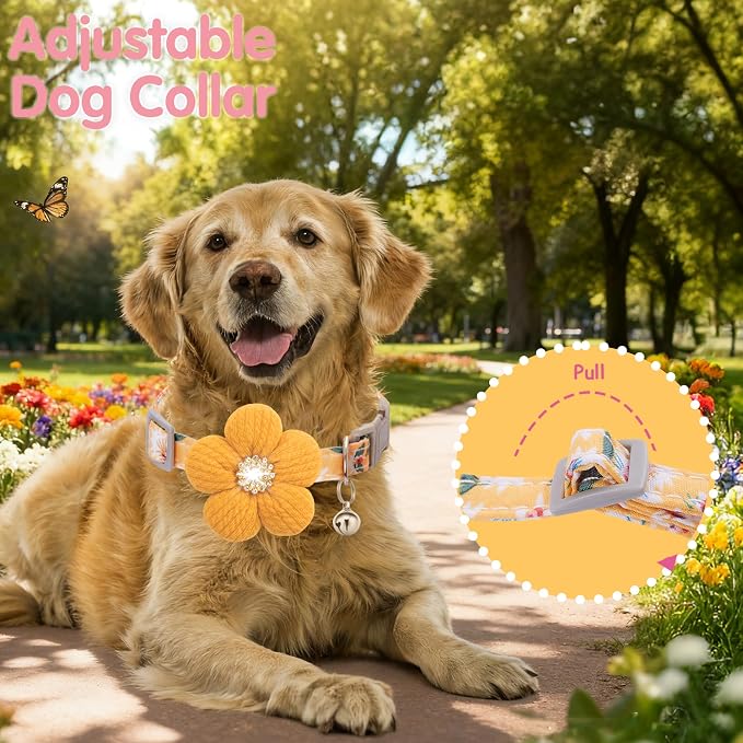 Large Dog Collar with Flower, Dog Collars - Image 5