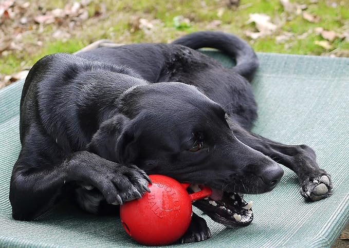 Jolly Pets Tug-n-Toss Heavy Duty Dog Toy Ball - Image 2