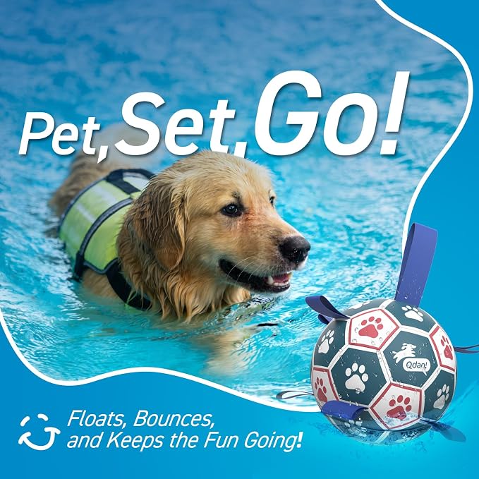 QDAN Large Dog Toys, 8 Inch Durable Balls - Image 6