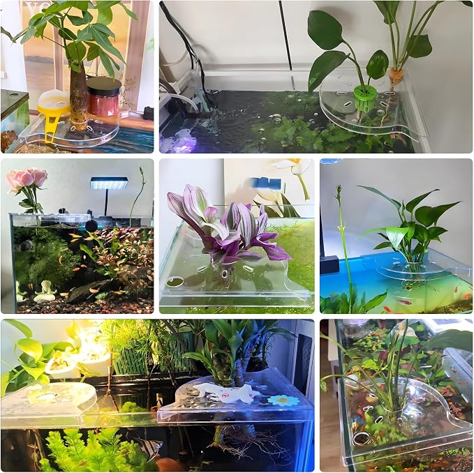 Aquarium Plant Holder for Rimless Fish Tank – 2 Pcs Corner Shelf for Fish Tank - Image 8