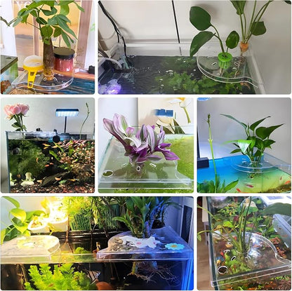 Aquarium Plant Holder for Rimless Fish Tank – 2 Pcs Corner Shelf for Fish Tank - Image 8