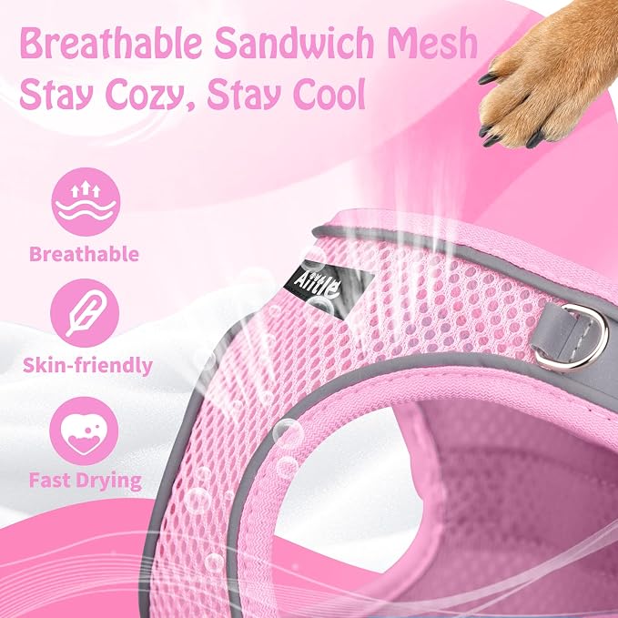AIITLE Step in Dog Harness and Leash Set - Image 6