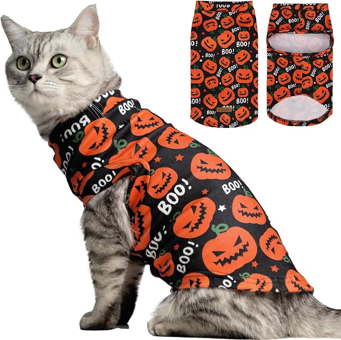 EXPAWLORER Cat Halloween Sweater by EXPAWLORER