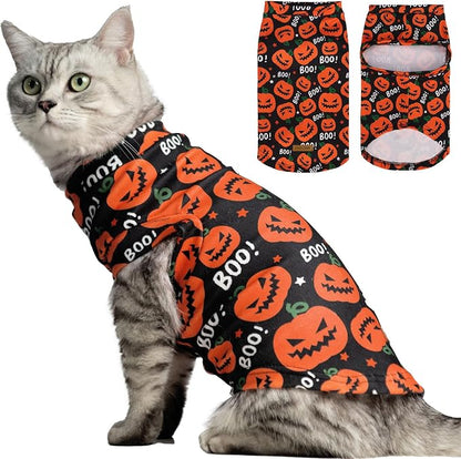 EXPAWLORER Cat Halloween Sweater by EXPAWLORER