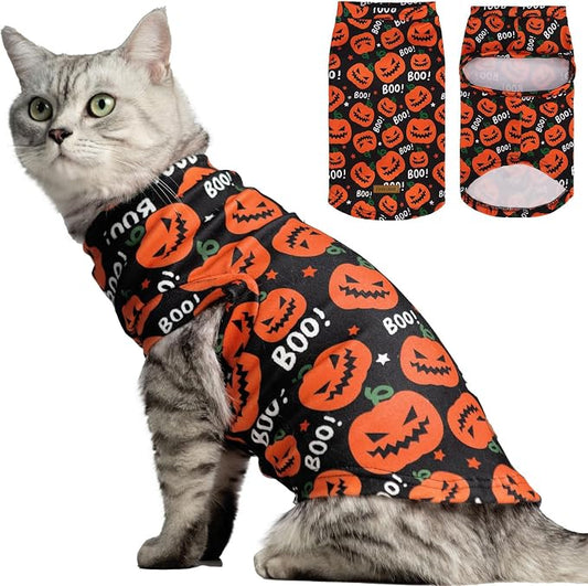 EXPAWLORER Cat Halloween Sweater by EXPAWLORER
