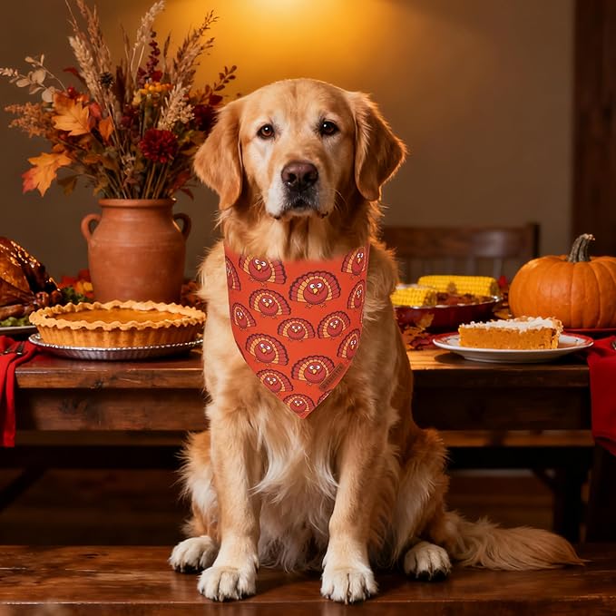 ADOGGYGO Thanksgiving Dog Bandanas 2 Pack, Reversible Pumpkin Turkey Pet Scarf - Image 3