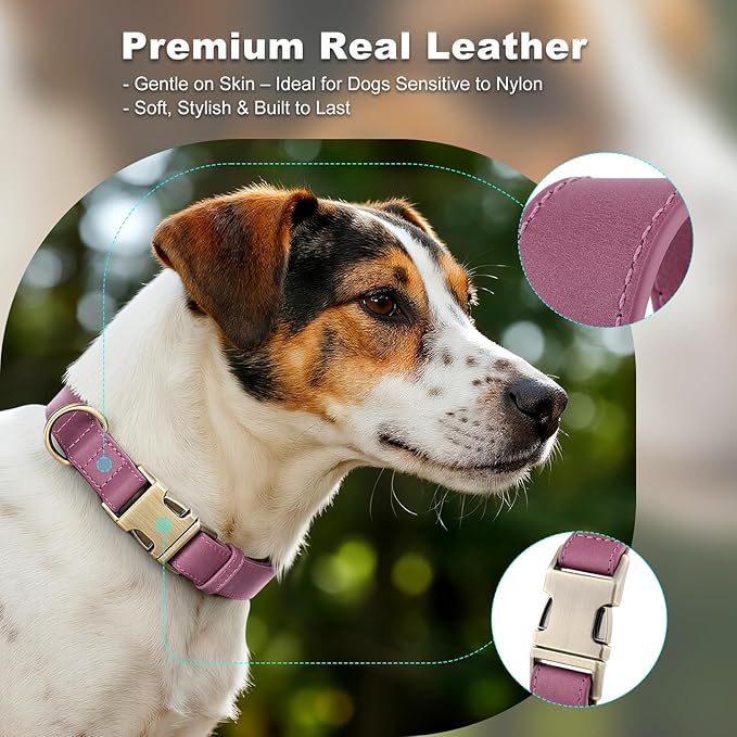 Plutus Pet Genuine Leather Dog Collar – Adjustable Pet Collar - Image 3