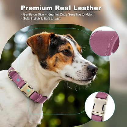 Plutus Pet Genuine Leather Dog Collar – Adjustable Pet Collar - Image 3