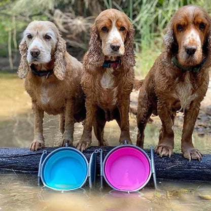 Loving Pets Bella Roma Collapsible Dog Bowls - Image 8