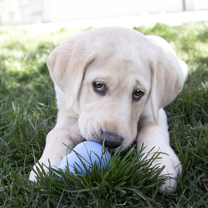 KONG Puppy - Natural Teething Rubber Chew Toy - Image 3