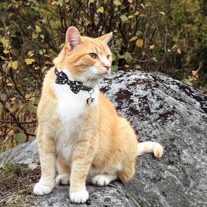 SCENEREAL Breakaway Cat Collar - Image 7