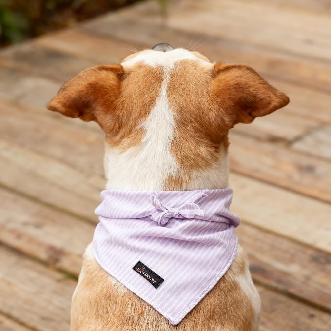 ARING PET Summer Dog Bandana-Cute Lavender Dog Bandanas, Comfortable Pet Scarf - Image 6