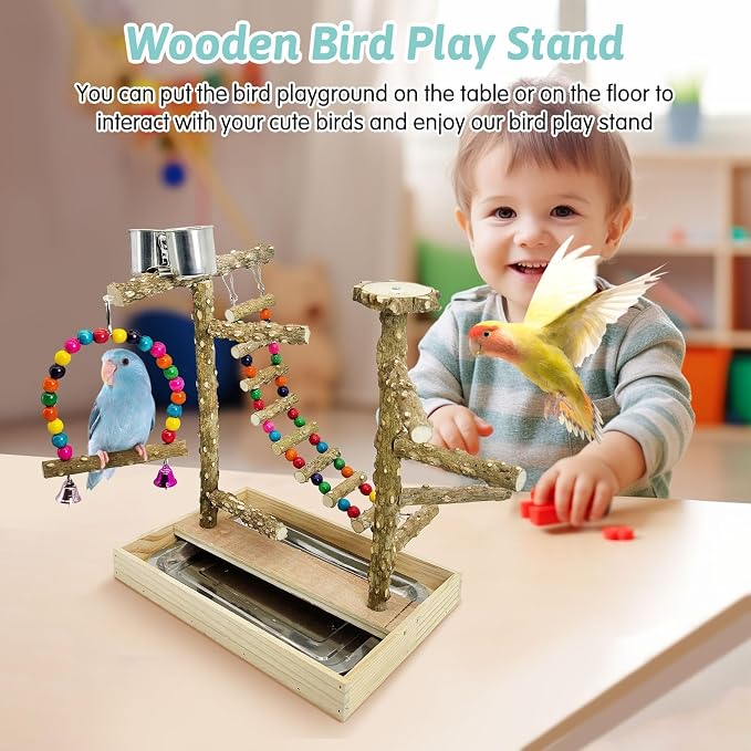 PINVNBY Bird Playground Natural Wood Bird Play Stand - Image 7
