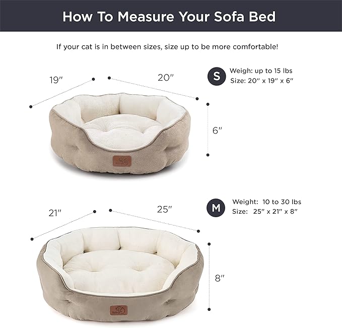 Bedsure Dog Beds for Small Dogs - Image 8