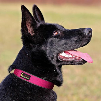 Plutus Pet Tactical Dog Collar, Reflective, Adjustable Heavy Duty Dog Collar - Image 6