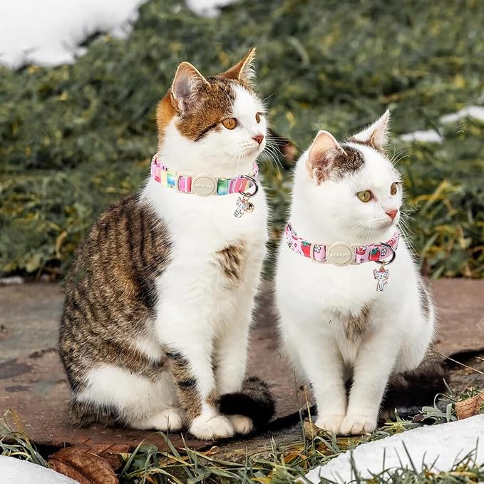 ARING PET 2 Pack Cat Collars-Cute Breakaway Cat Collar - Image 4