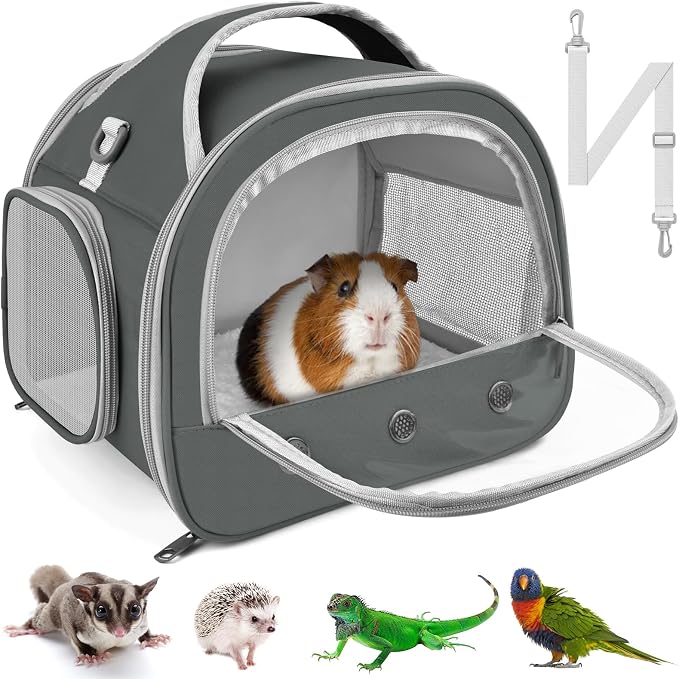 Bissap Bearded Dragon Travel Carrier, Portable Guinea Pig Carrier Bag Tortoise by Bissap