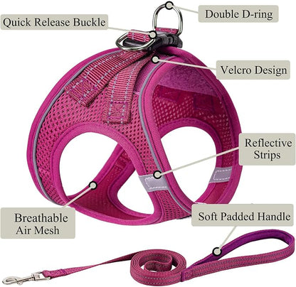 Dog Harness with Leash Set, No Pull Adjustable Reflective Step-in Puppy Pet - Image 2