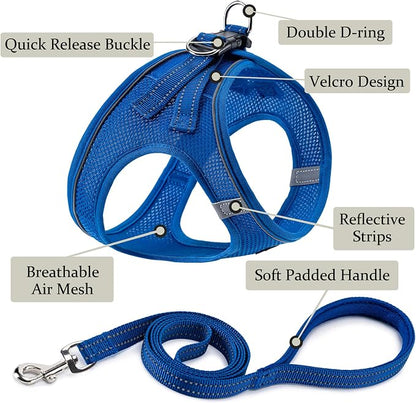 BOOMIBOO Dog Harness with Leash Set, No Pull Adjustable Reflective Step-in - Image 2