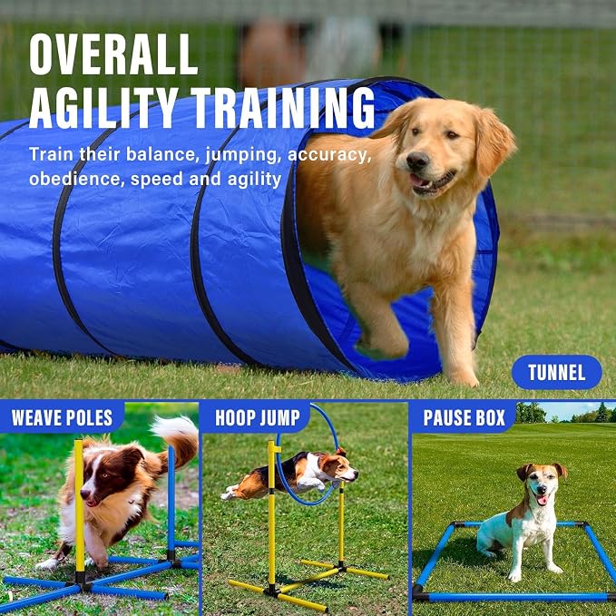 Dog Agility Training Equipment, Dog Agility Course Backyard Set - Image 3
