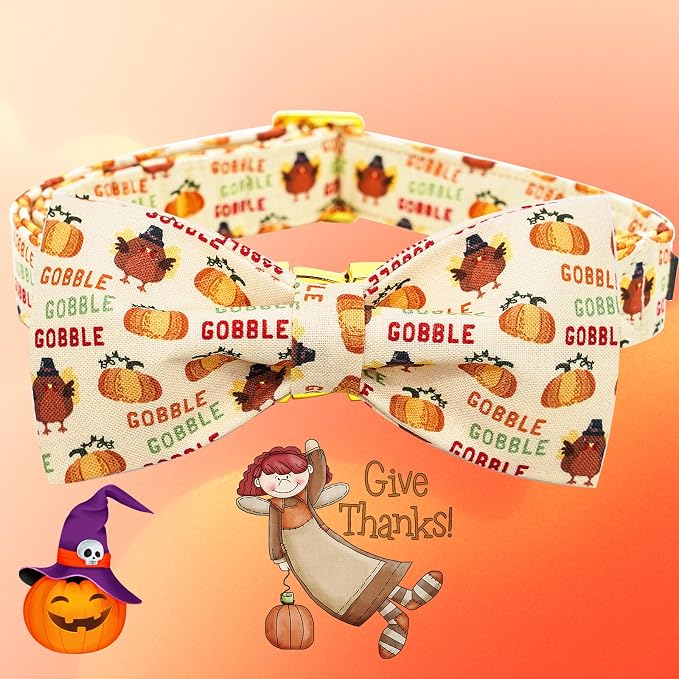Adjustable Dog Collar for Small Dogs - Image 4
