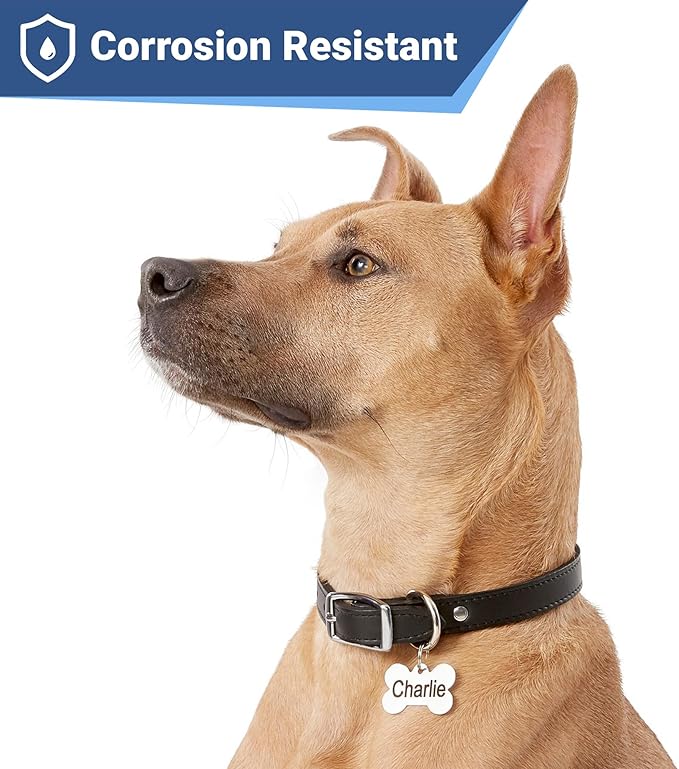 GoTags Stainless Steel Pet ID Tags, Personalized Dog Tags and Cat Tags - Image 4