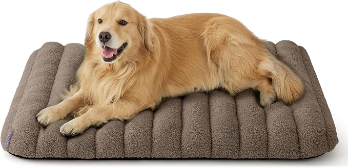 LE SURE Cute Orthopedic Dog Bed by Lesure