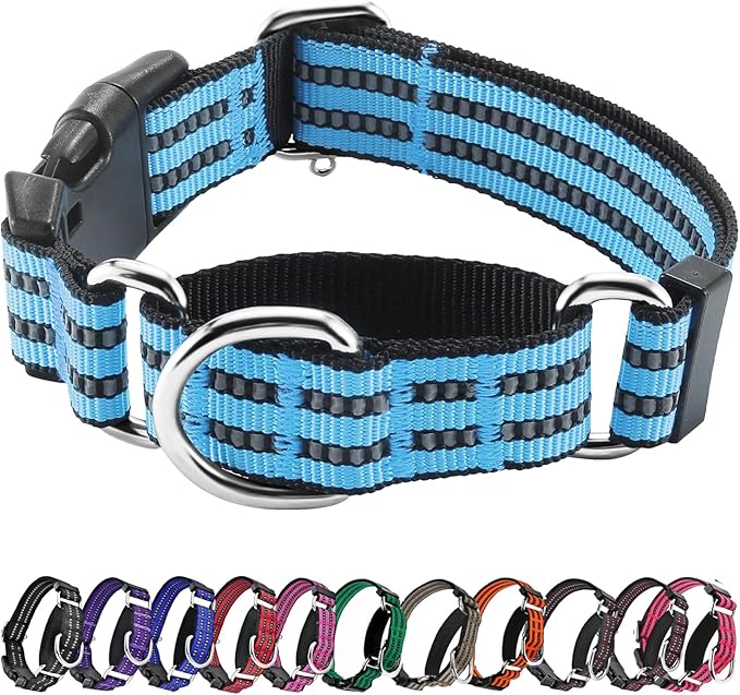 Hikiko Martingale Dog Collars Reflective Nylon Dog Collar by Hikiko