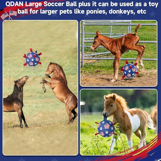 QDAN Dog Toys, Soccer Ball - Image 4