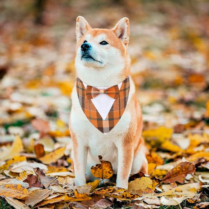 ADOGGYGO Fall Dog Tuxedo Bandana, Adjustable Halloween Thanksgiving Formal - Image 3