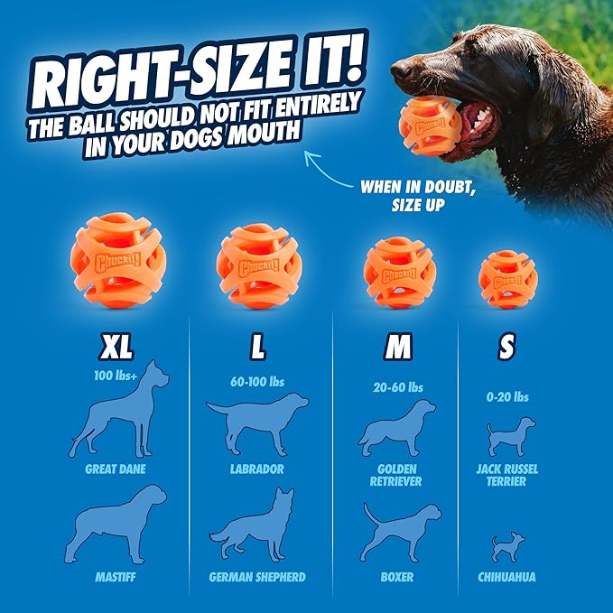 Chuckit! Air Fetch Ball Dog Toy - Image 6