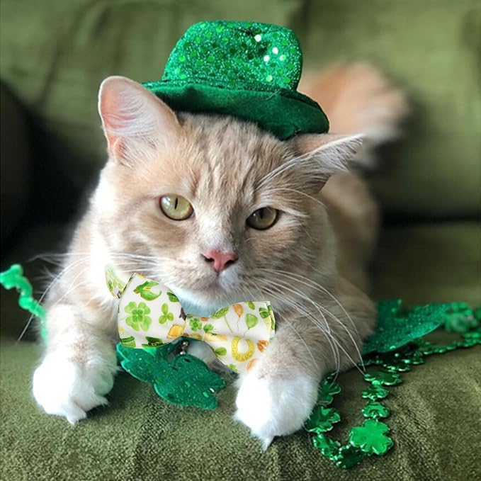 St. Patrick's Day Cat Bowtie - Image 5