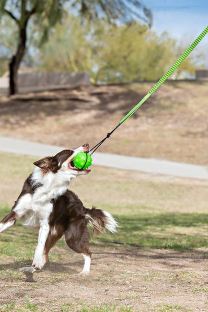Jolly Pets Tree Tugger For Dog - Image 2