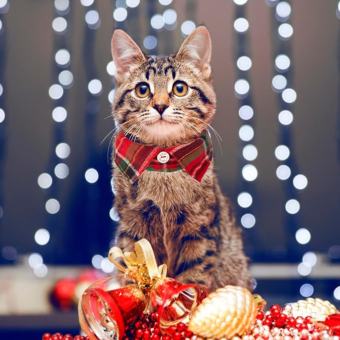 ADOGGYGO Christmas Cat Collars Breakaway - Image 4